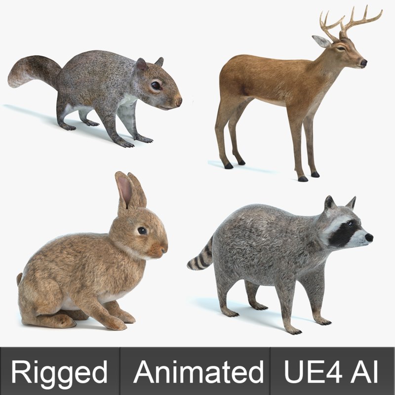 Animal 3D Model Sheet