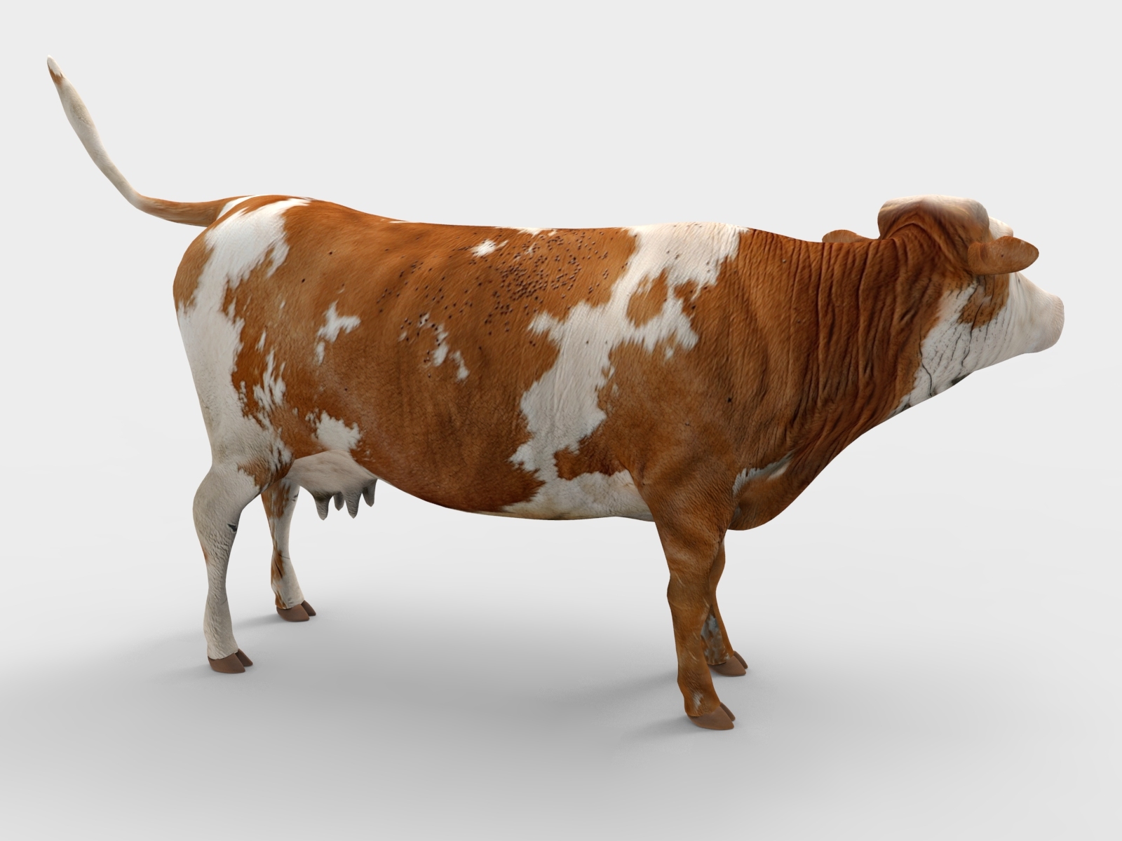 牛装配模型3d模型
