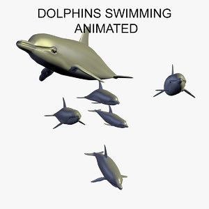 3D group dolphins swimming animation model