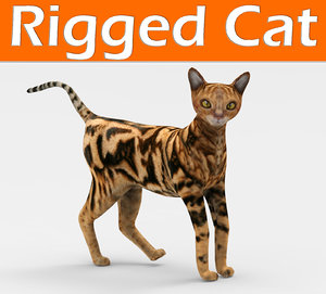 3D cat rigged model