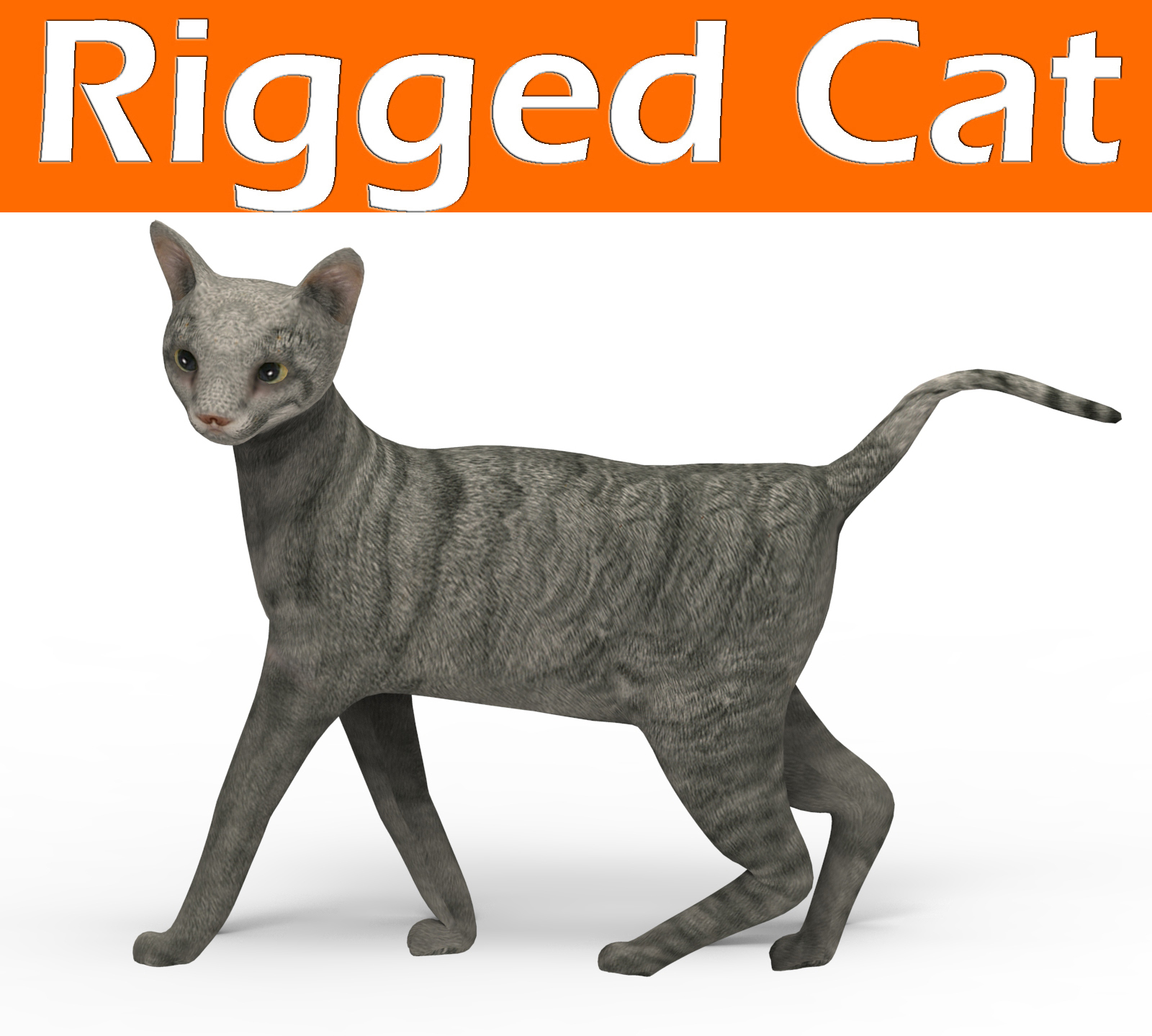 Cat rigged model - TurboSquid 1198069