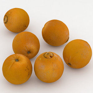 orange fruit 3D model