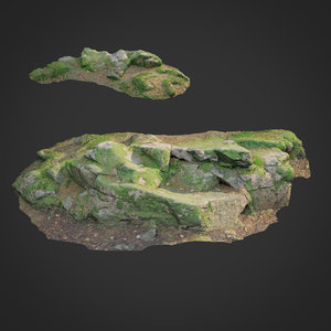 3D scanned nature forest stuff