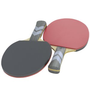3D ping pong paddle model