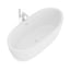 large rounded bath 3D model