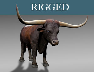 3D texas longhorn bull model