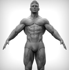 3D fitness body man model