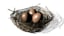 3D bird nest eggs model