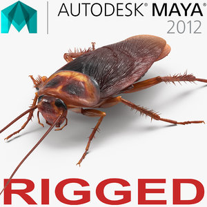cockroach rigged model