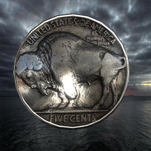 coin american 3D model
