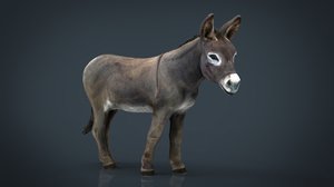 3D hd donkey