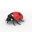 3D rigged ant mantis