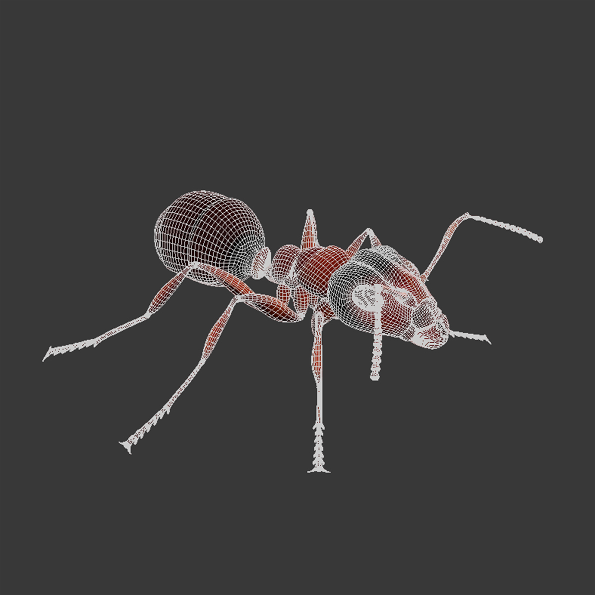 3d rigged ant mantis