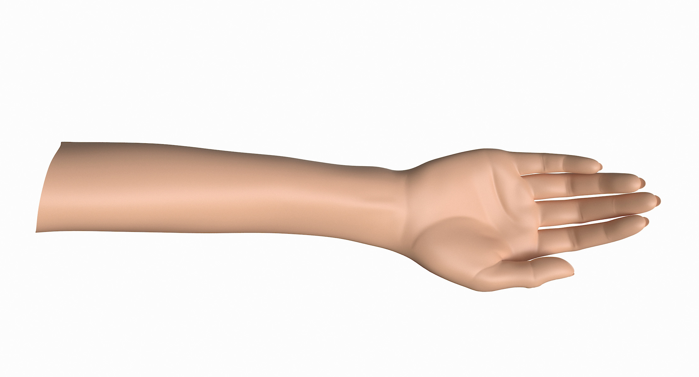 Female arm pose b 3D model - TurboSquid 1199416