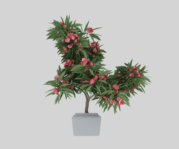 flowering-tree-3D-model_600.jpg