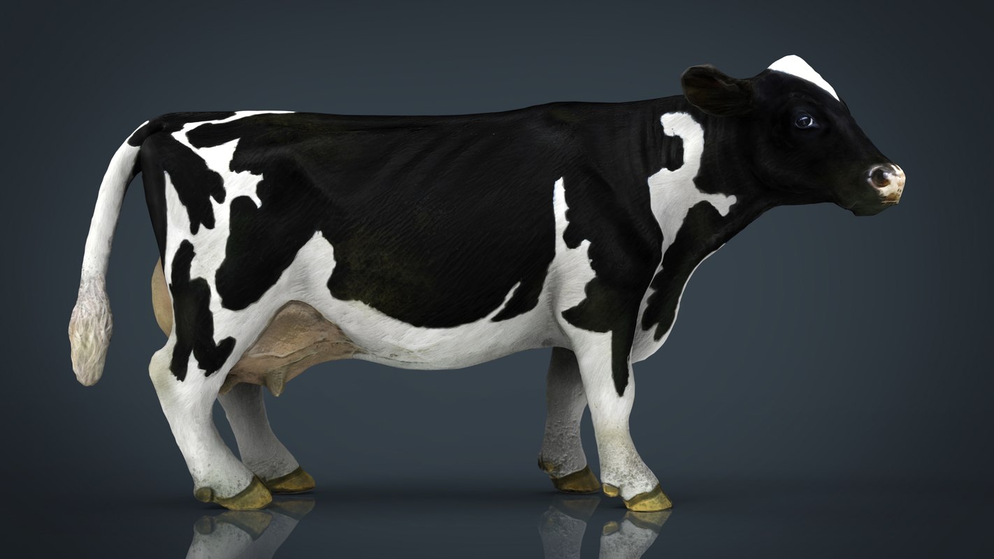 3D model cow milk TurboSquid 1200398