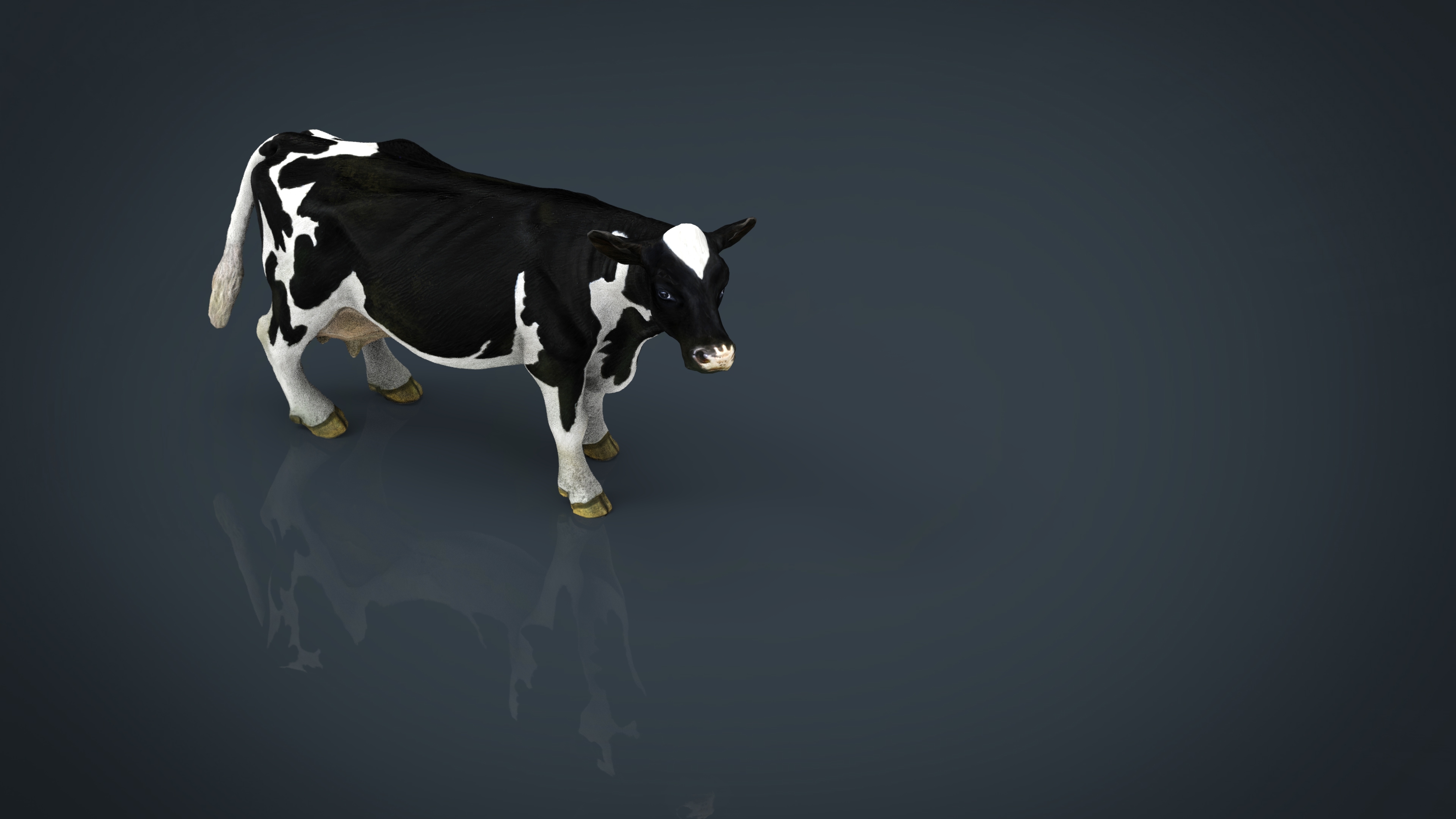 奶牛3d模型