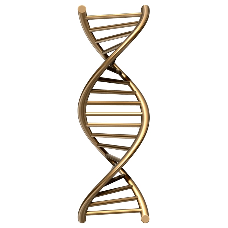 Dna chain 3D model TurboSquid 1200745