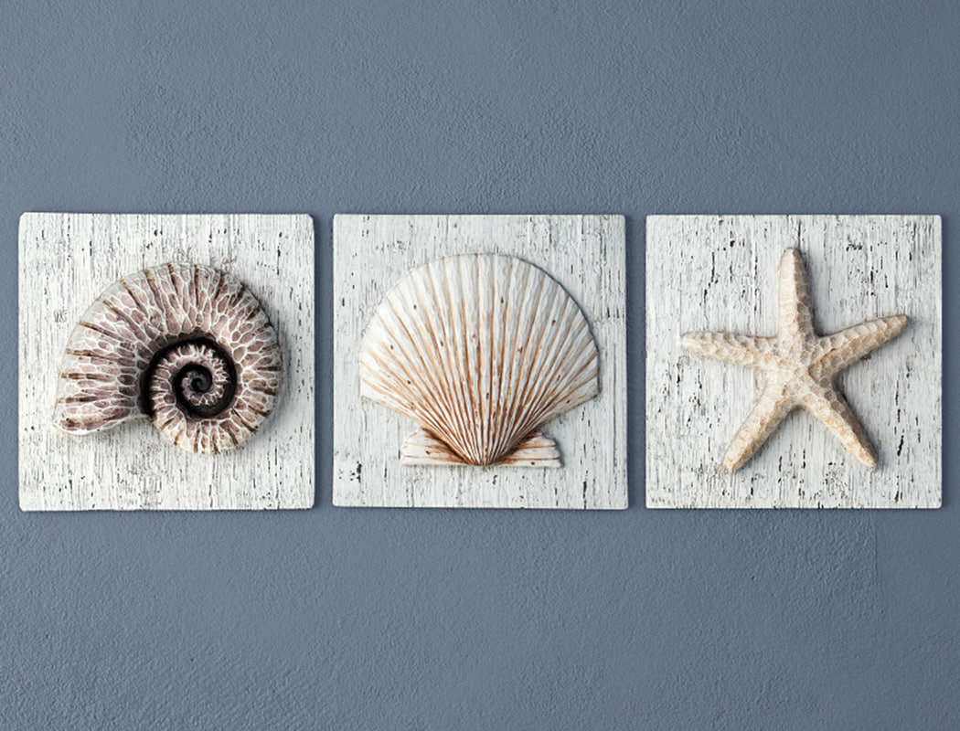 Nautilus seashell starfish plaques 3D model - TurboSquid 1200871