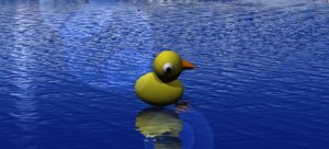 3D strata duck