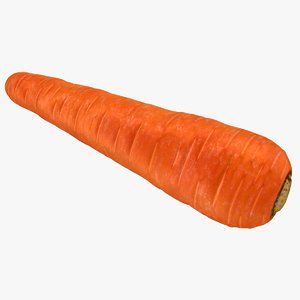carrot 3D model