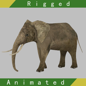3D elephant rigged animation