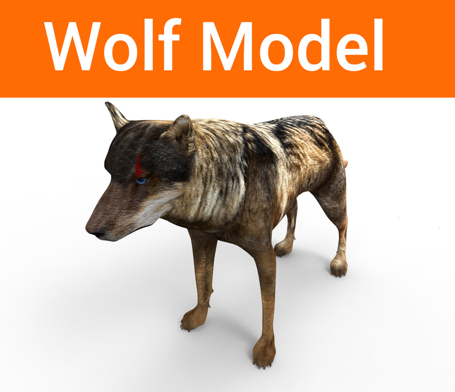 Wolf models