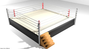 3D arena ring