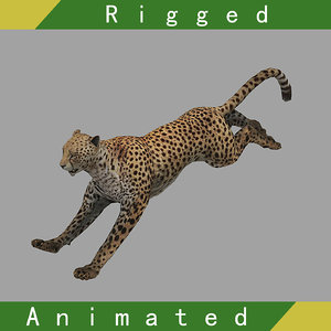 3D model cheetah rigged animation