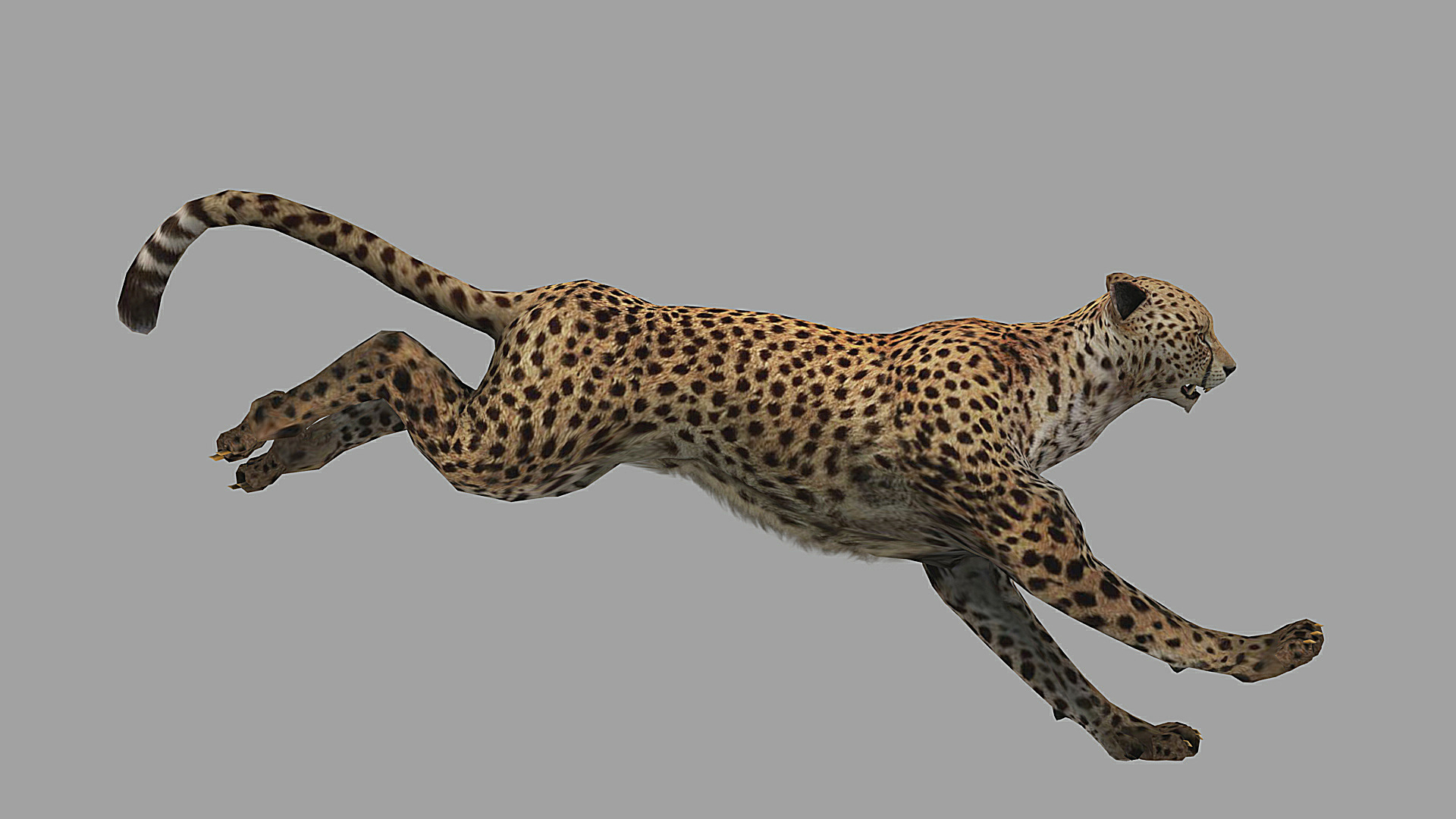 combining animations in cheetah3d