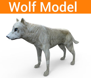 wolf 3D model