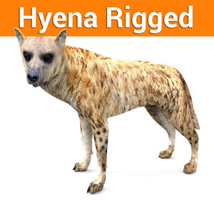 hyena rigged 3D model