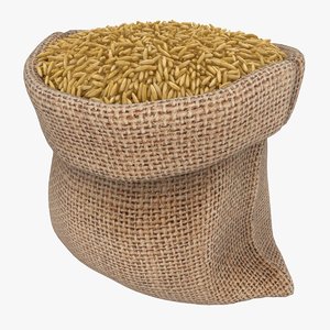 3D model realistic sack brown rice
