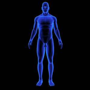 3D human body