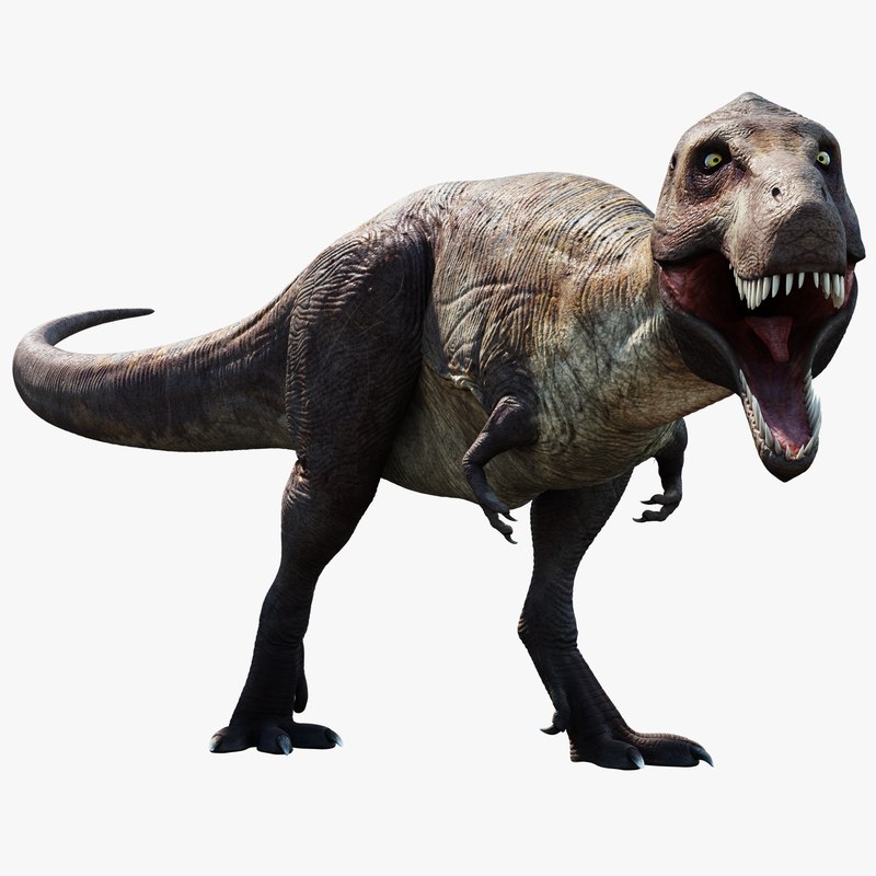 3d tyrannosaurus