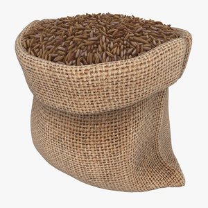 3D realistic sack brown rice