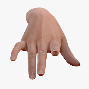 3D realistic female hand file