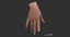 3D realistic female hand file