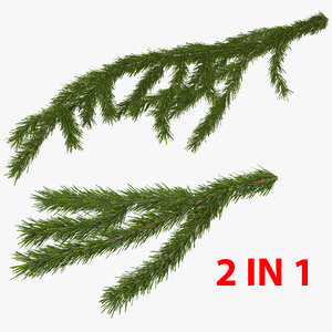 3D christmas fir branch