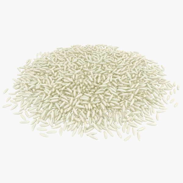 realistic-rice-3D-model_600.jpg