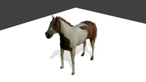 paint horse games 3D