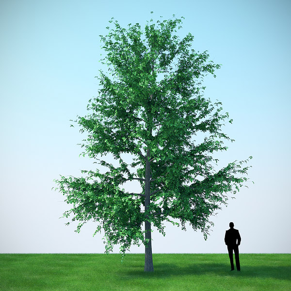 vrmesh trees free vrmesh trees free