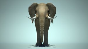 3D elephant