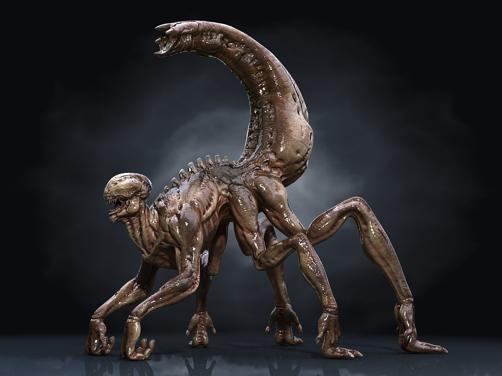 3D xenomorph hd model - TurboSquid 1204224