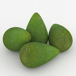 fruit avocado 3D
