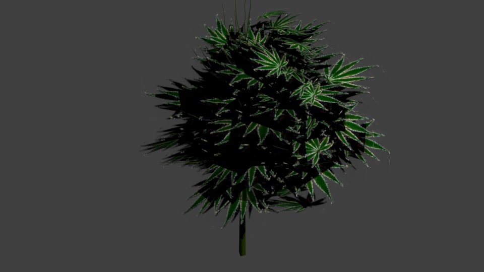 3D hemp model - TurboSquid 1204330