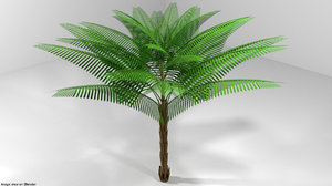 date palm tree 3D model