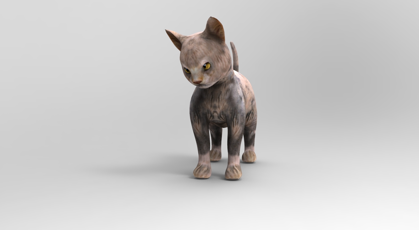 猫操纵动画模型3d模型