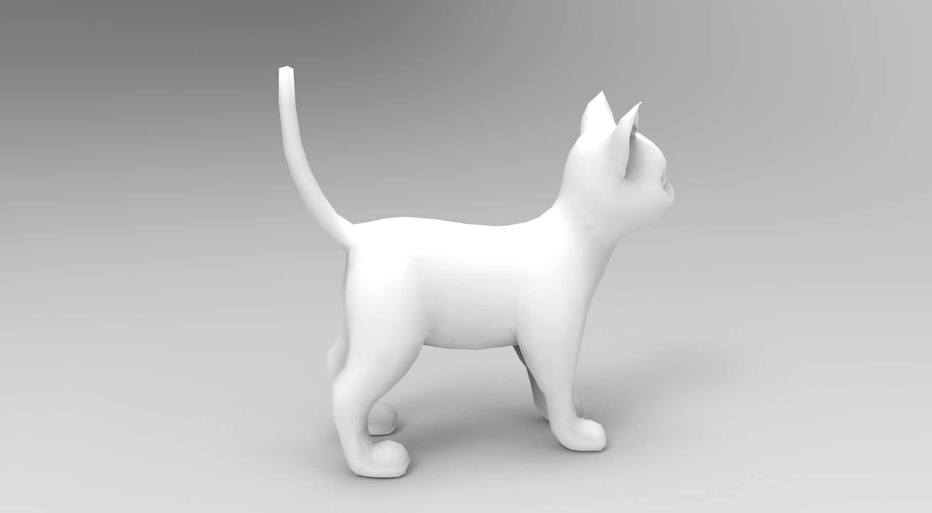 可爱的猫操纵动画3d模型