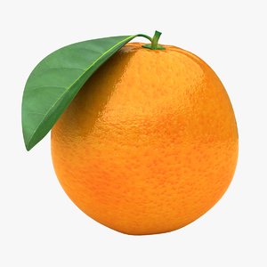 realistic orange fruit 3D model